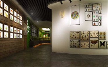 比導游更生動！這個小程序，讓全國微信用戶陪你看展覽