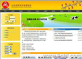 濟南網站建設作品